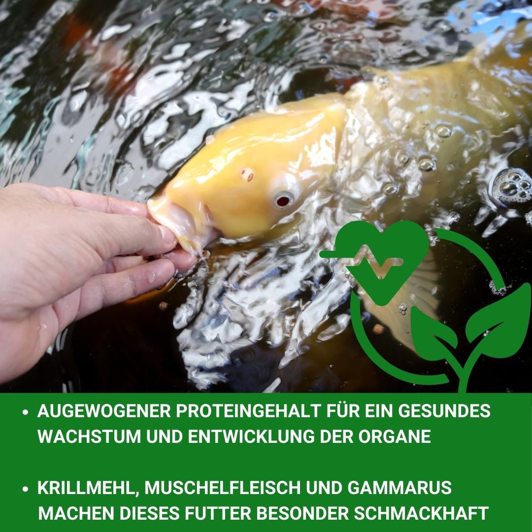 KENKOU® Nr.1 -Edition - 5 & 12 mm Koifutter schwimmend
