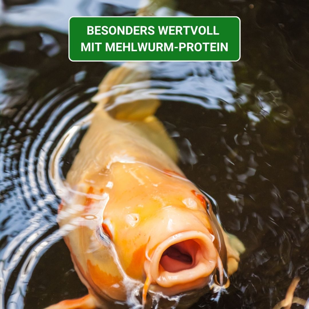 KENKOU® Nr.1 -Edition - 5 & 12 mm Koifutter schwimmend