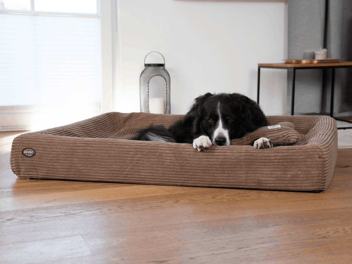 Hundebett KUDDE Cord Namma Markt