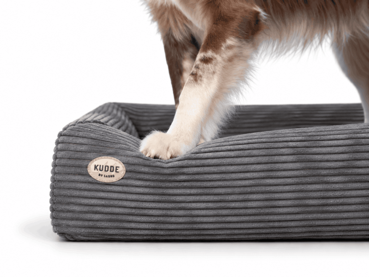 Hundebett KUDDE Cord Namma Markt