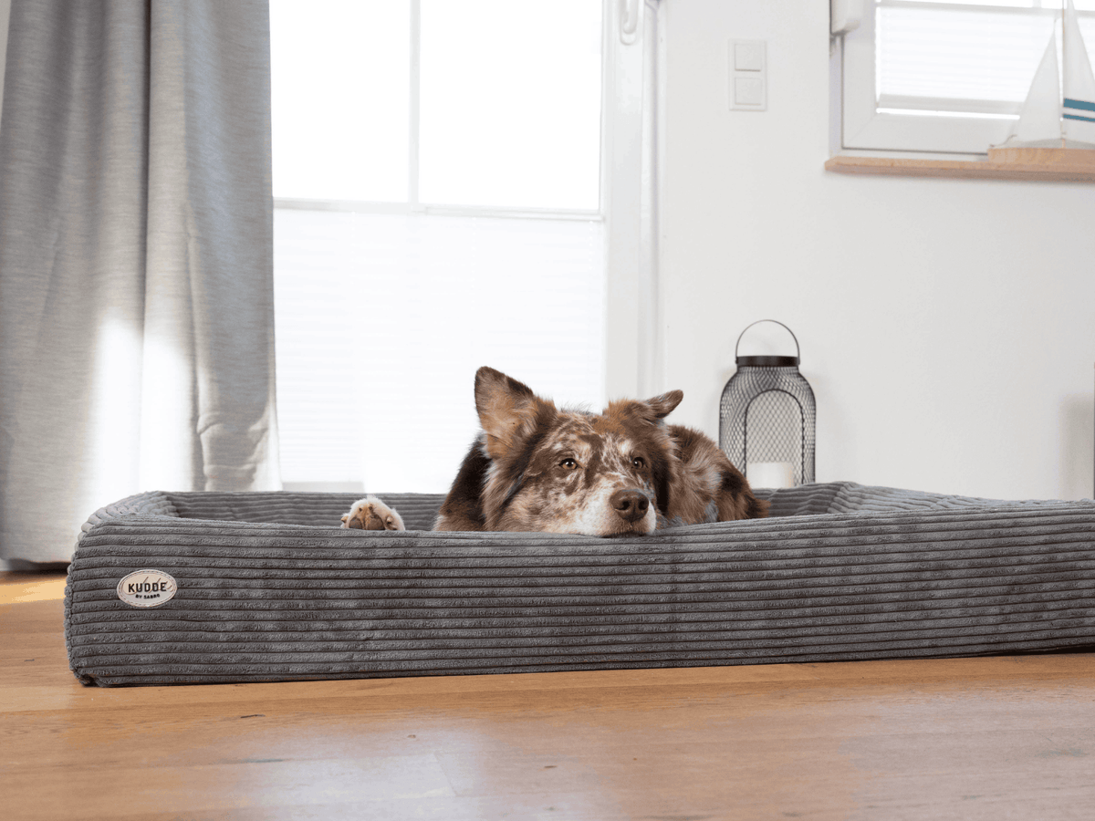 Hundebett KUDDE Cord Namma Markt