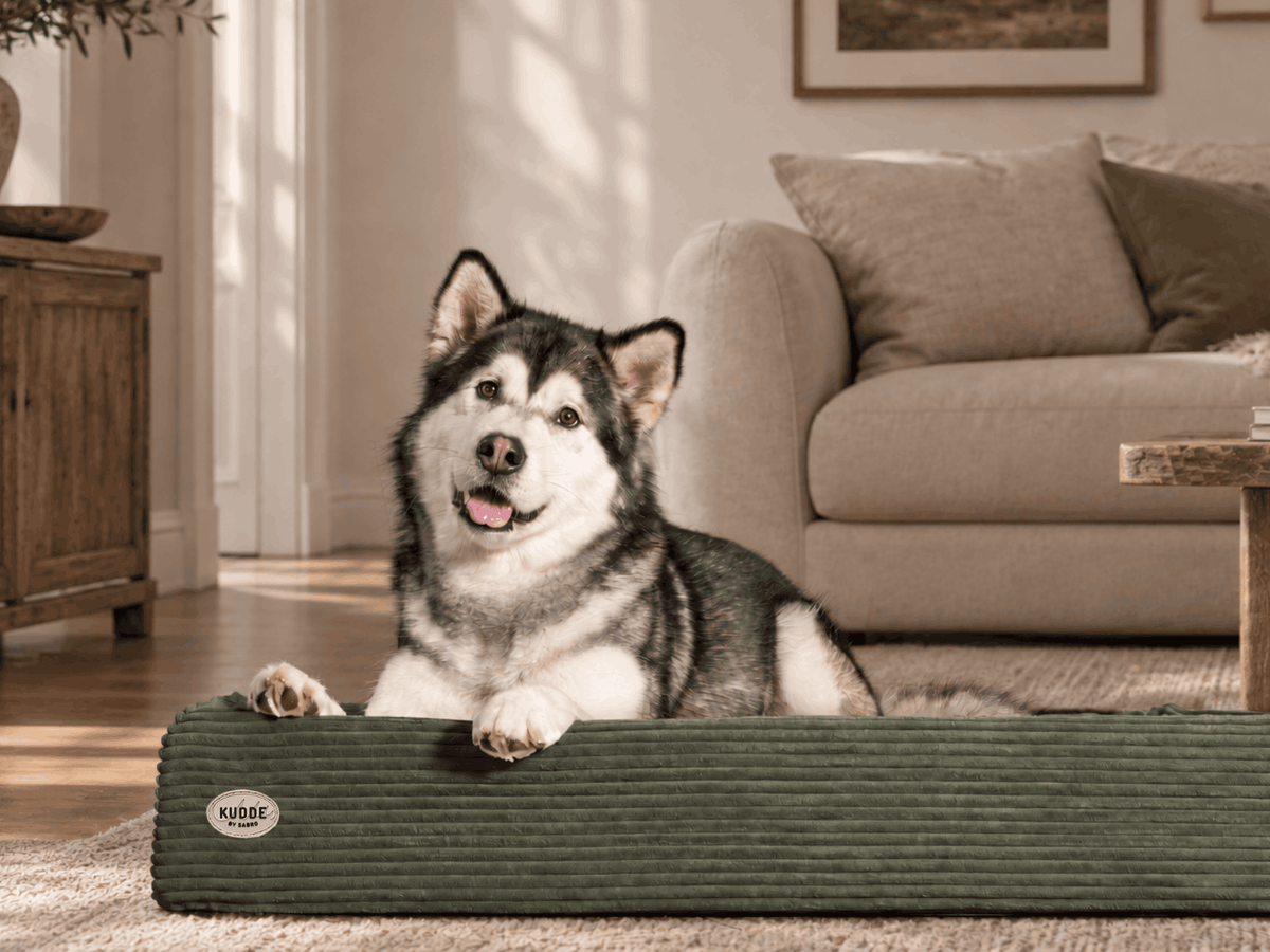 Hundebett KUDDE Cord Namma Markt