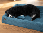 Hundebett KUDDE Cord Namma Markt