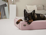 Hundebett KUDDE Pastell Kunstleder Namma Markt