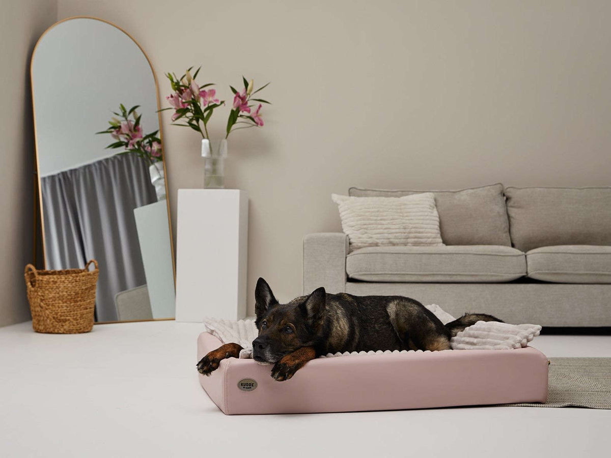 Hundebett KUDDE Pastell Kunstleder Namma Markt