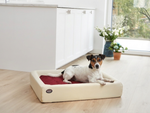 Orthopädisch-Plus Bundle | KUDDE Hundebett + Mumin Einlage Alltid