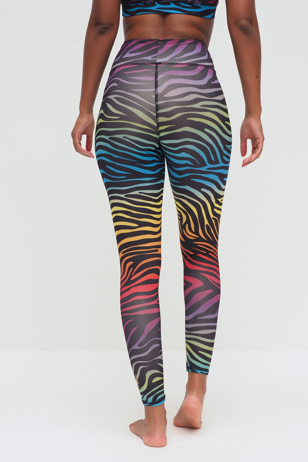 Ganga rainbow zebra