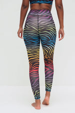 Ganga rainbow zebra