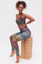 Ganga rainbow zebra