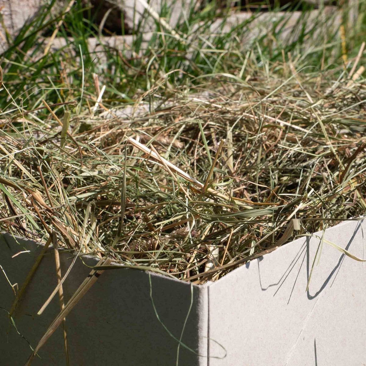 Naturwiesenheu Basic für Kaninchen & Meerschweinchen