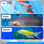 AnoKath® Koi-antiBac 100ml