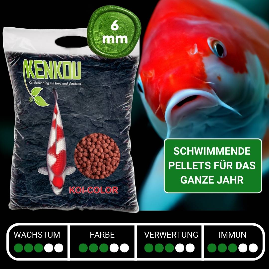 KENKOU® Koi-Color  Koi Farbfutter 6 mm schwimmend