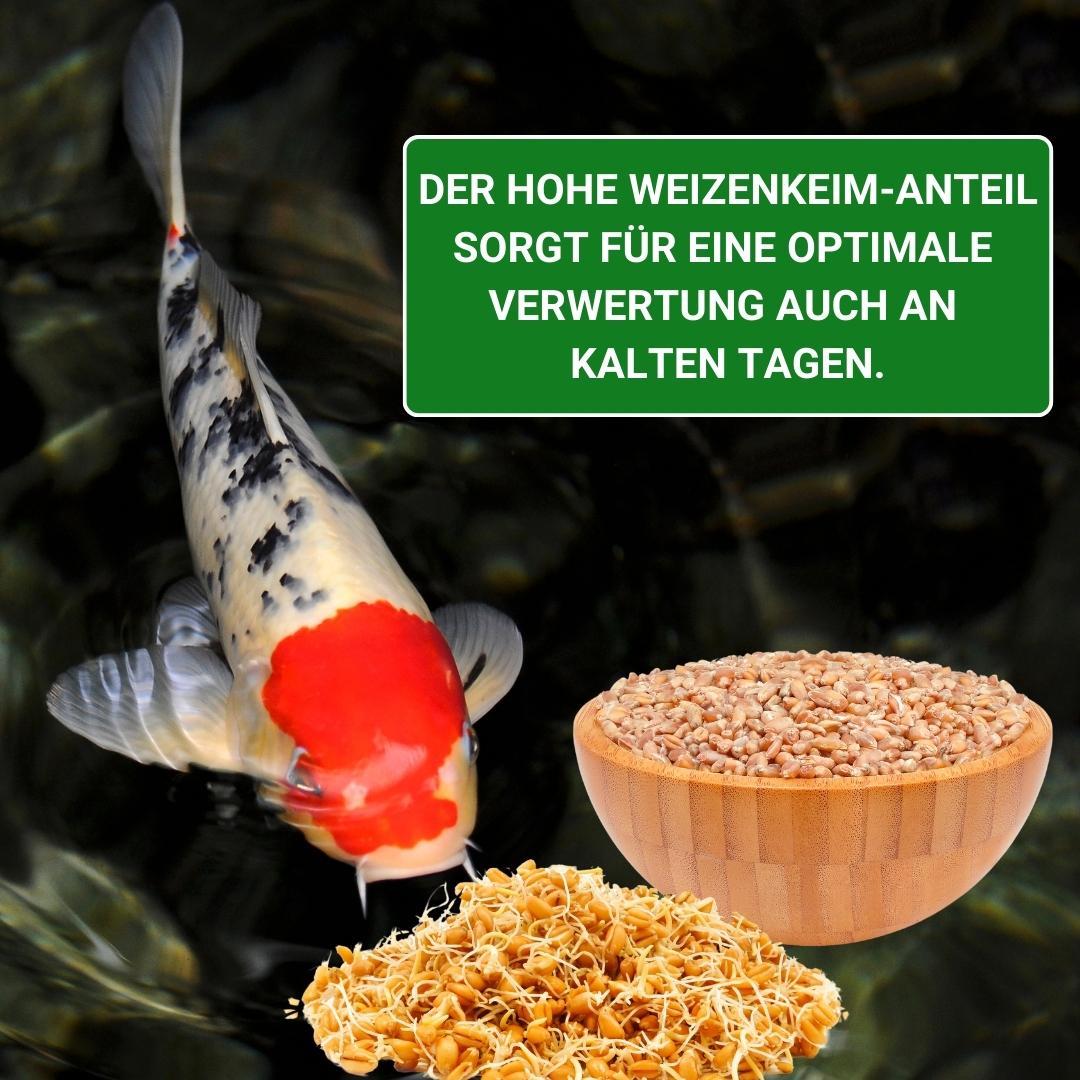 KENKOU® COOL-Water Koifutter  - 6 mm Pellets schwimmend
