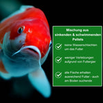 KENKOU® Nr.1 -MIX 5mm High-Quality teilsinkend