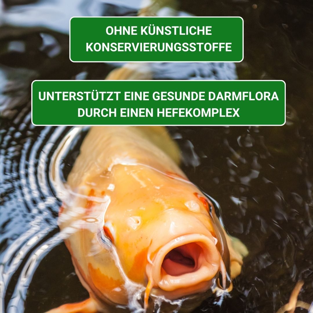 KENKOU® Nr.1 -Edition - 5 & 12 mm Koifutter schwimmend