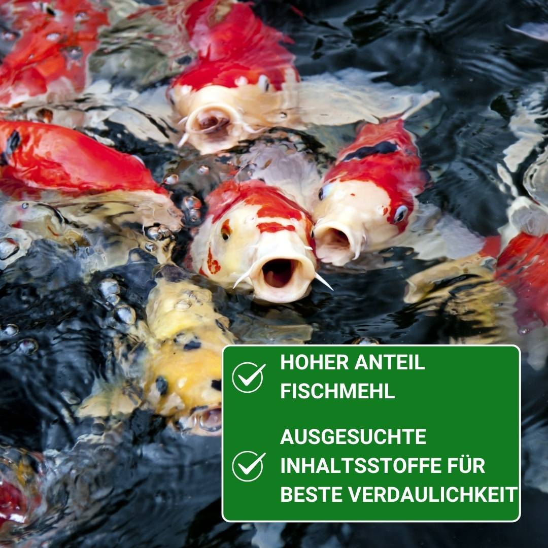 KENKOU® Platin Koi-Mix Koifutter 3 & 6 mm – schwimmend