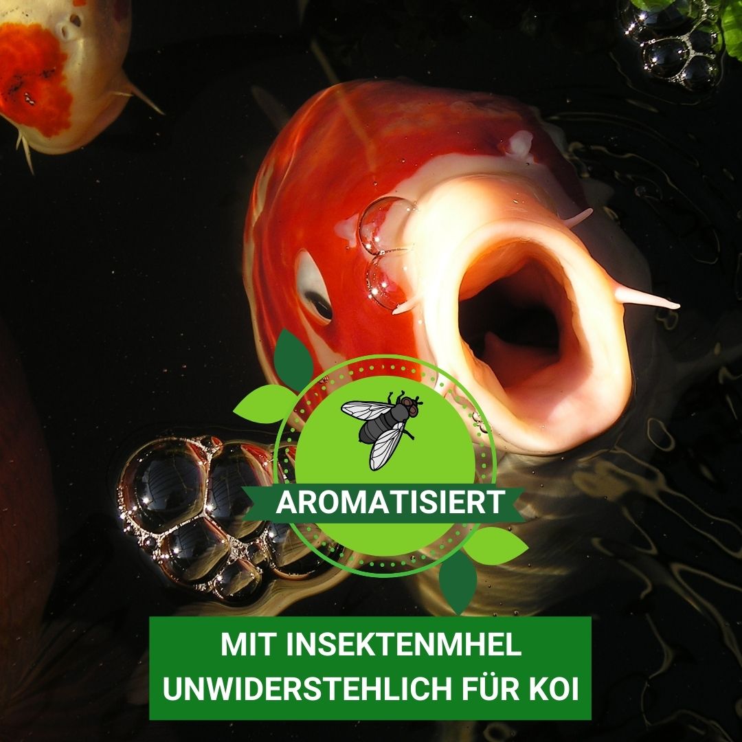 KENKOU® BAKUDAI Koifutter - 3 mm oder 6 mm schwimmend