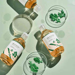 Round Lab | Mugwort Calming Toner - 300 ml