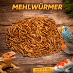 Insektus® getrocknete Mehlwürmer im Vorratsbehälter