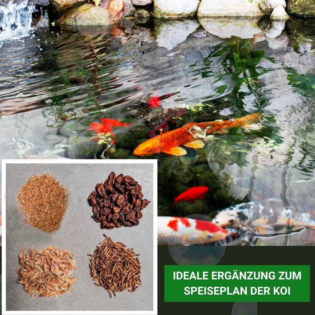 Insektus® getrocknete Mehlwürmer im Vorratsbehälter