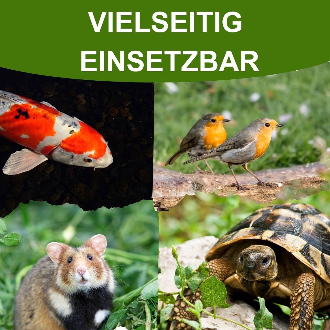 Insektus® getrocknete Mehlwürmer im Vorratsbehälter