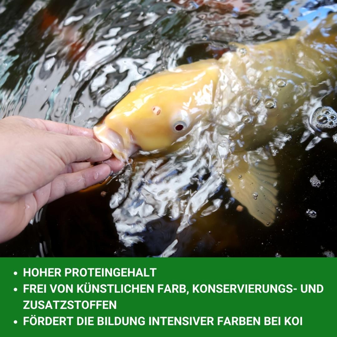 INSEKTUS® Mehr-Sorten-Mix im Eimer