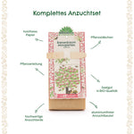 Anzuchtset Minigarten Bienenbaum