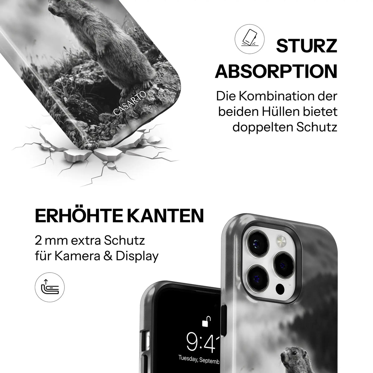 Alpine Watch
