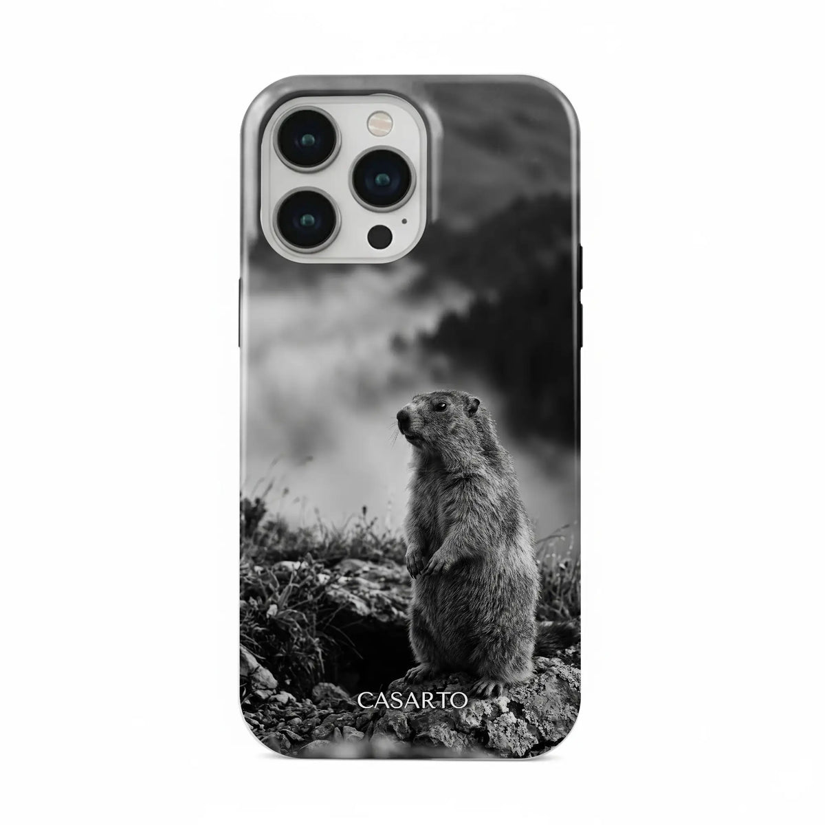 Alpine Watch
