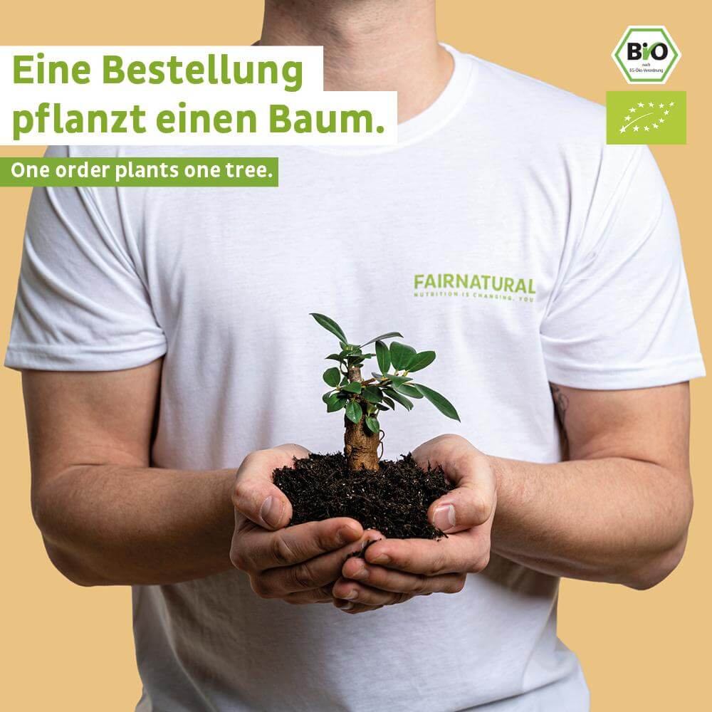 Bio Proteinriegel Vegan Schoko ohne Soja