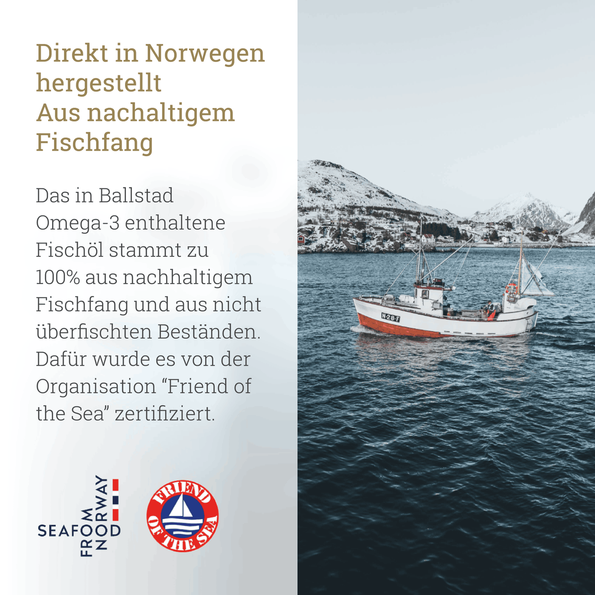 Frische Omega-3 Fischöl-Kapseln - 1 Monat