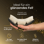 Glanzbürste