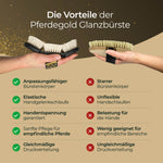 Glanzbürste