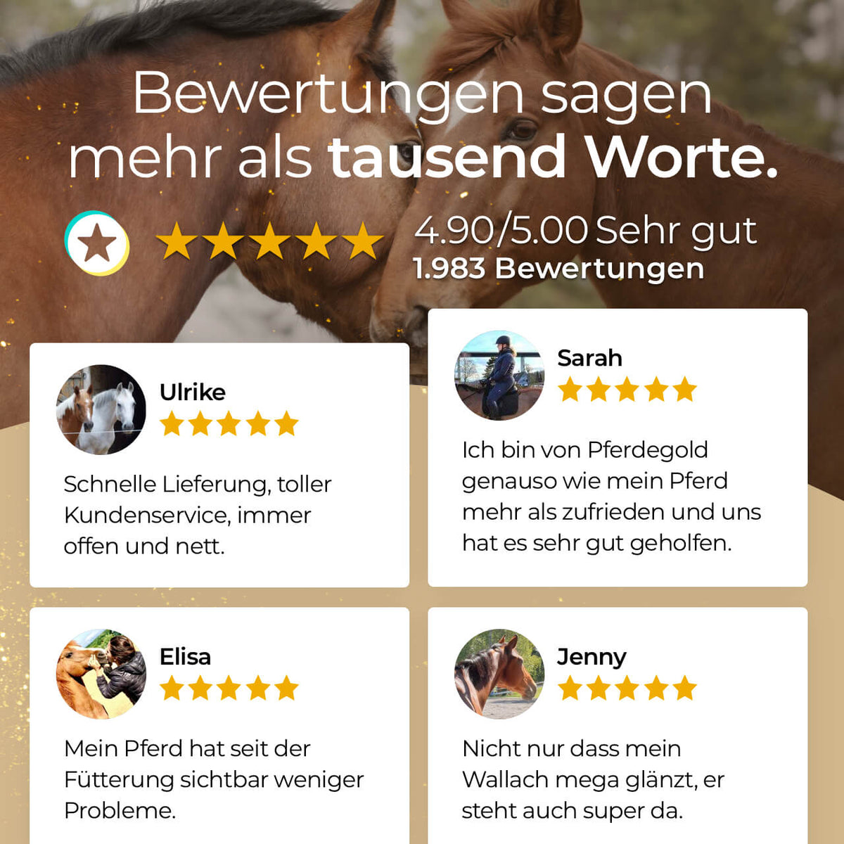 Glanzbürste