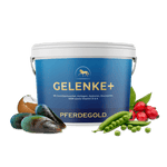 Gelenke+