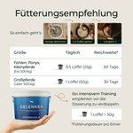 Gelenke+