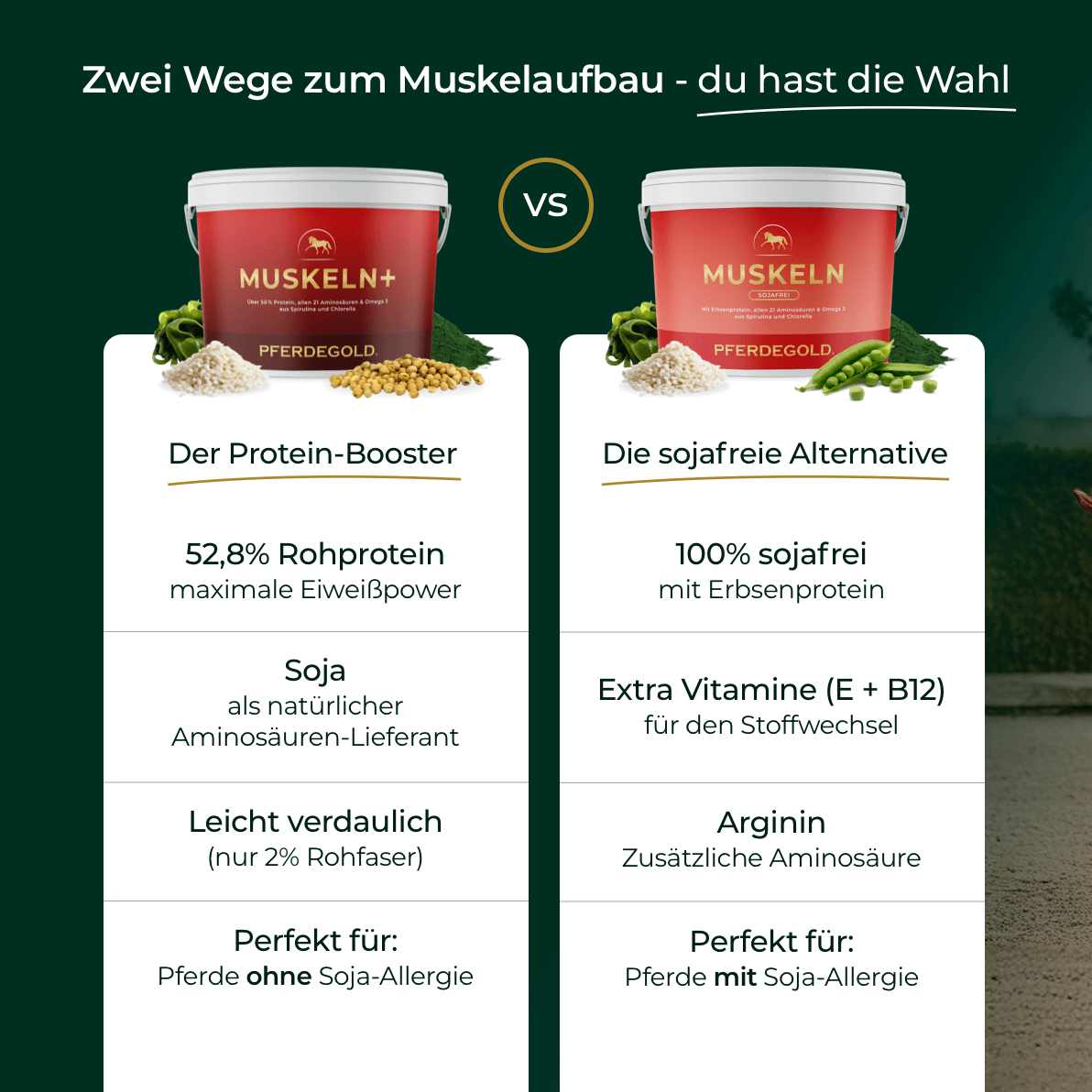 Muskeln+ Namma Markt