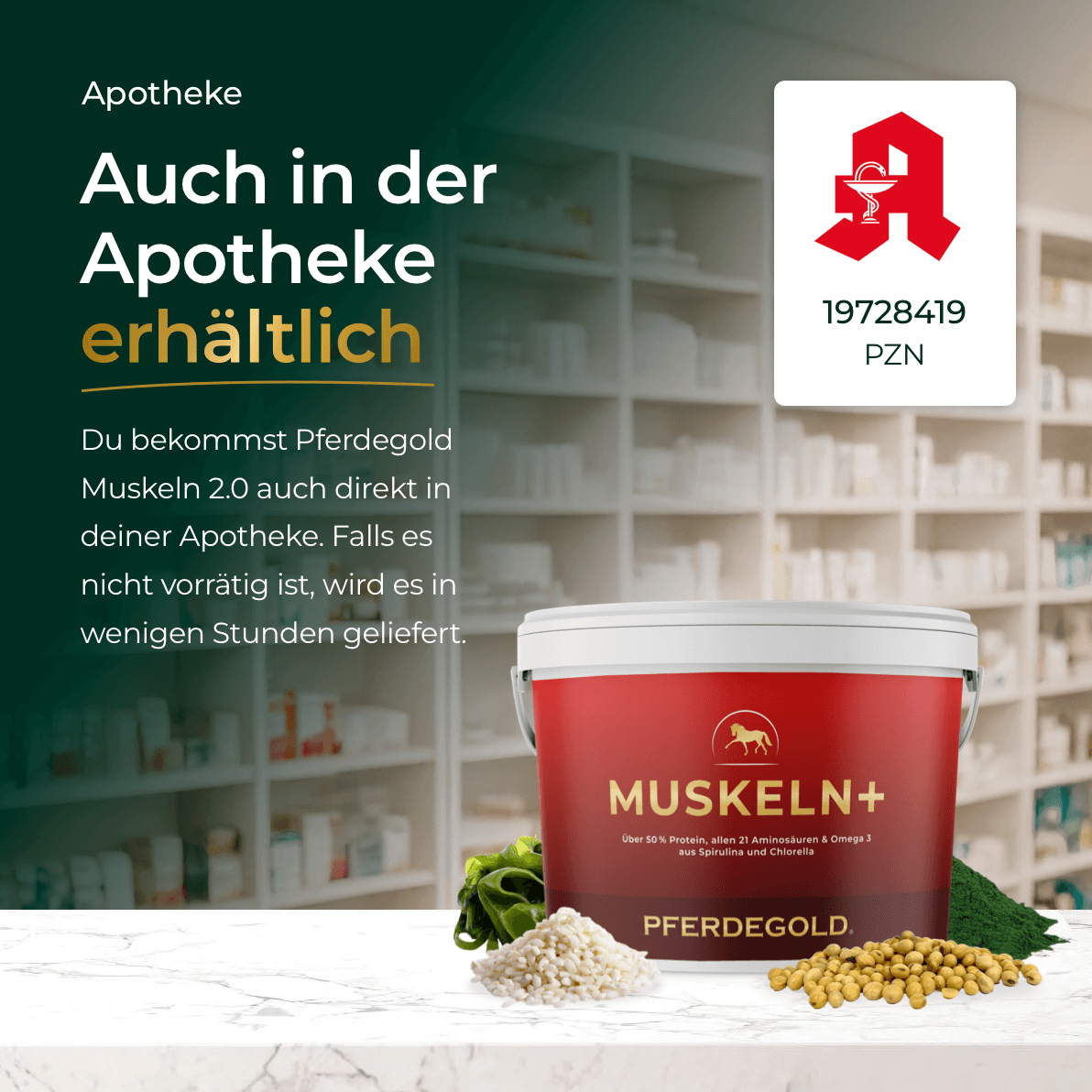 Muskeln+ Namma Markt