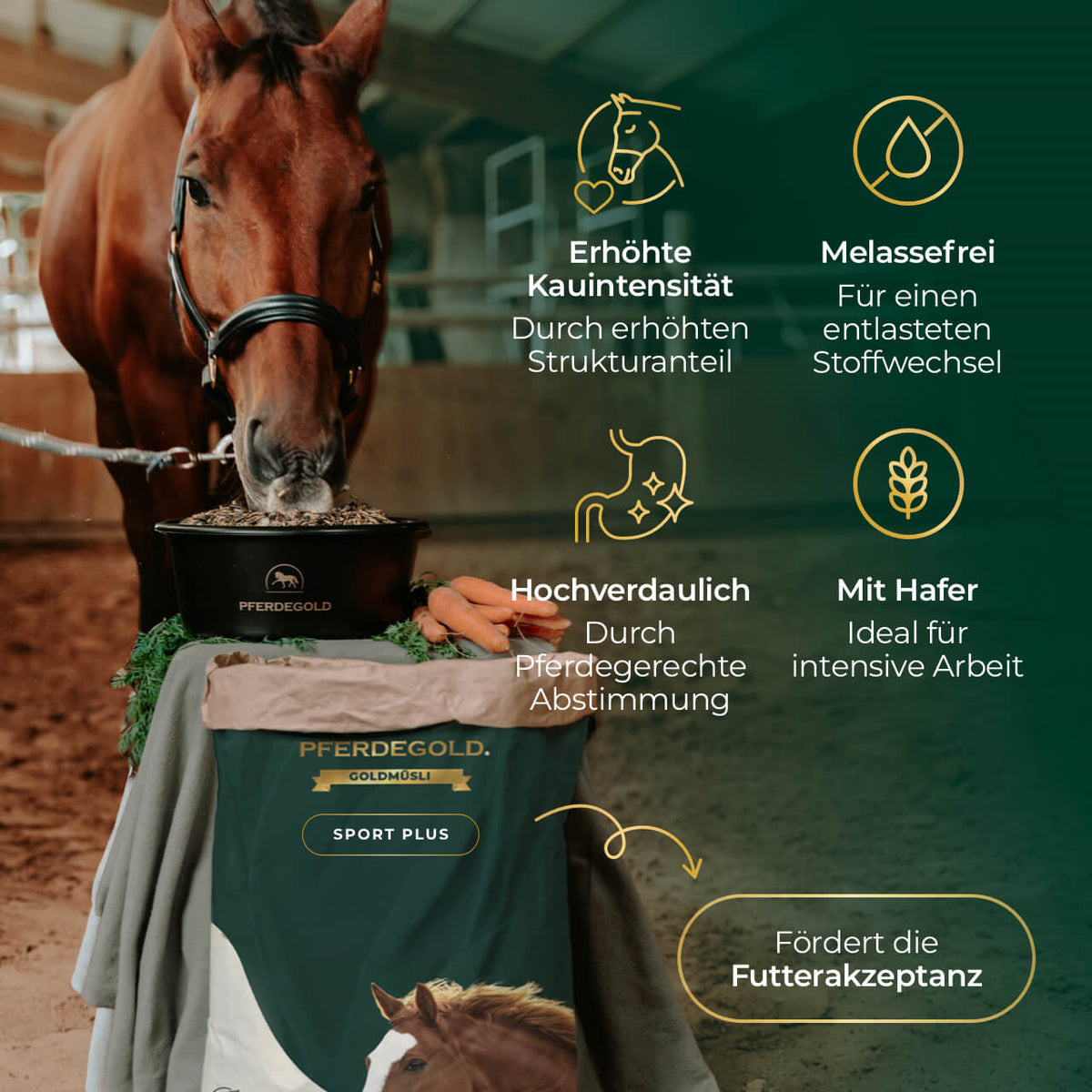 Goldmüsli® Sport Plus