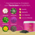 Stoffwechsel