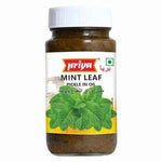 PRIYA PUDINA Paste 300g
