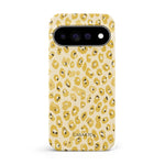 Sunkissed Cheetah