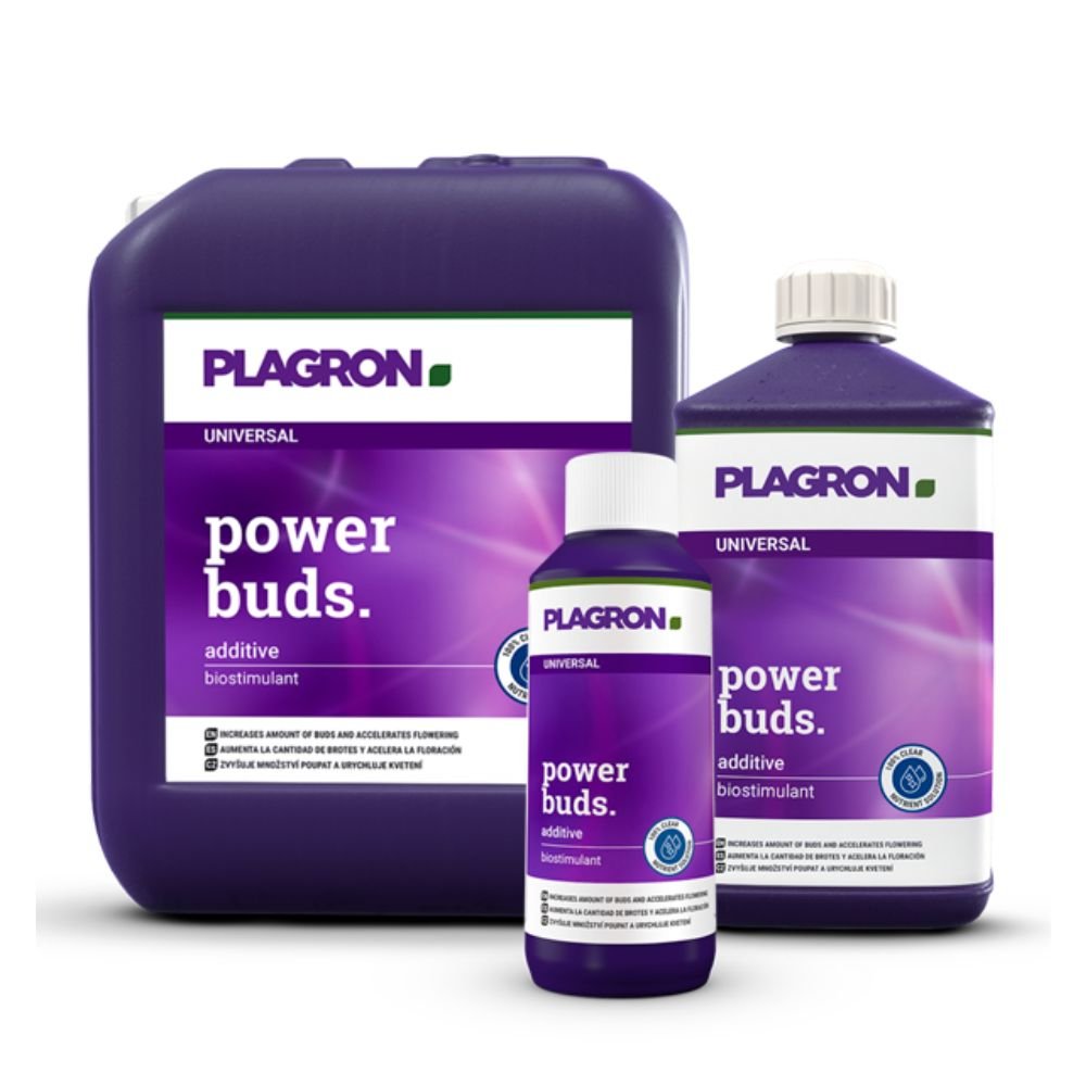 Plagron Power Buds