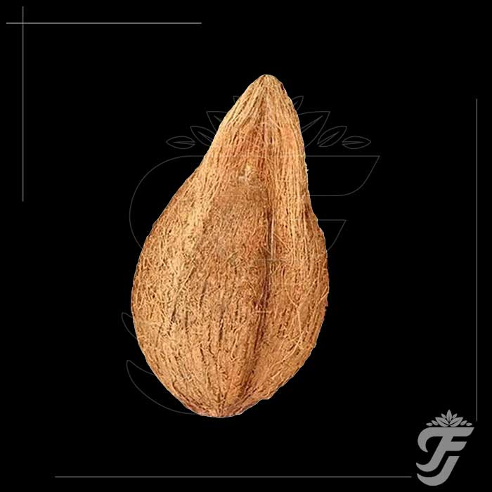 Pooja Coconuts product image 1