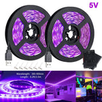 Schwarzlicht LEDS Design