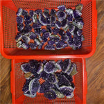 Purple D Amethyst kristall druzy geode