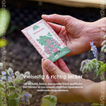 BIO-Saatgut Wildtomate