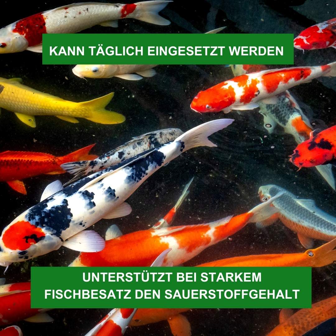 Aqua-Cereal® Sauerstoff-PLUS – Für Teiche O₂ Erhöhung