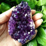 Purple D Amethyst kristall druzy geode