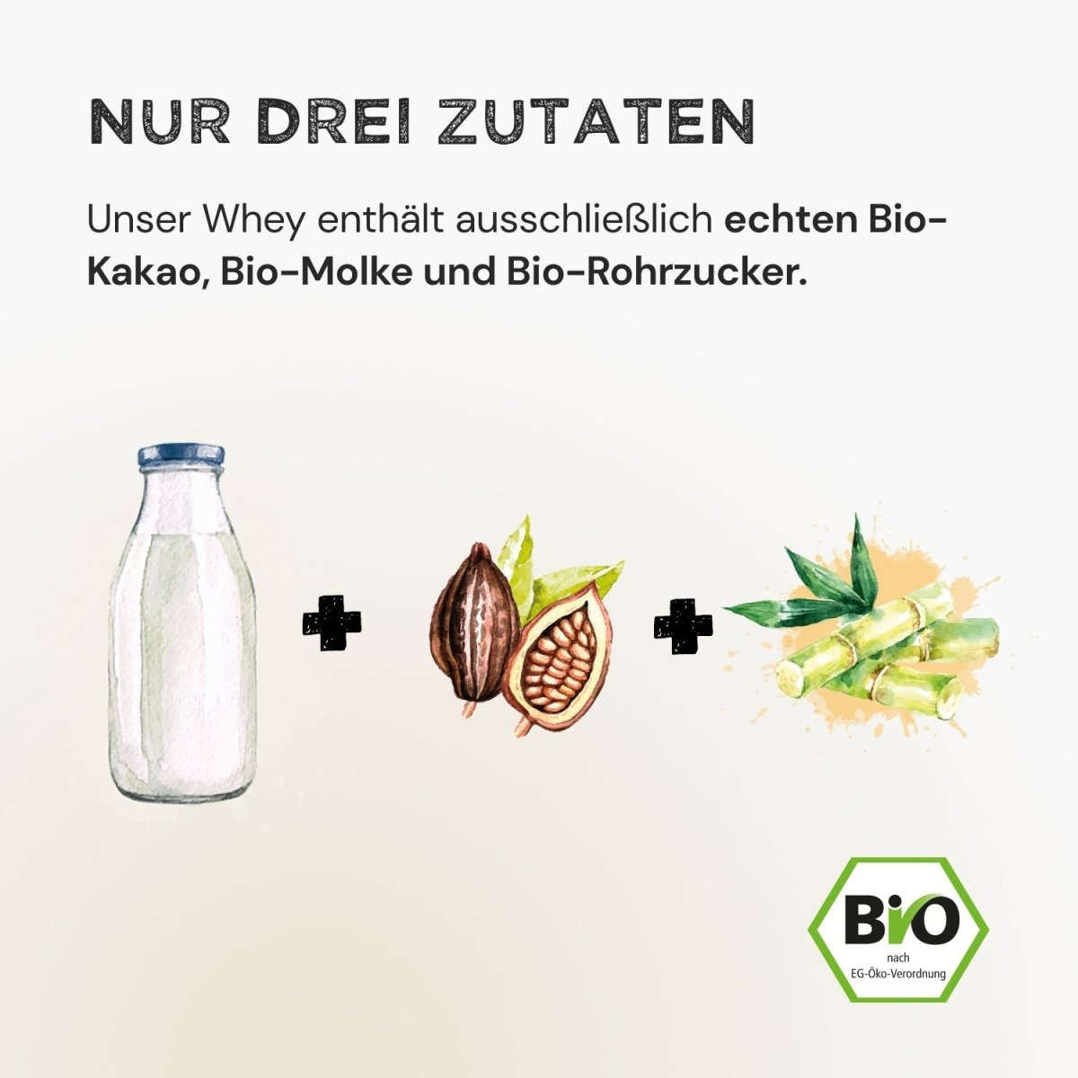 Whey Protein - Cacao